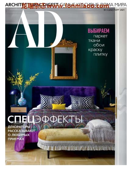 [俄罗斯版]Architectural Digest 建筑辑要 安邸AD 2021年3月刊 - 龙喵杂志网