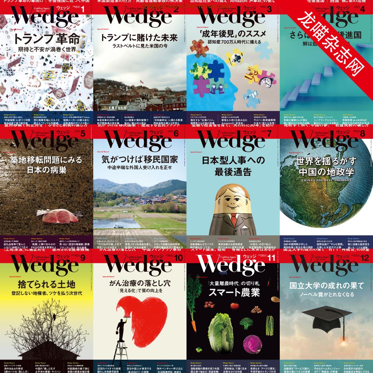 [日本版]Wedge 商业综合信息杂志PDF电子版 2017年合集（全12本）