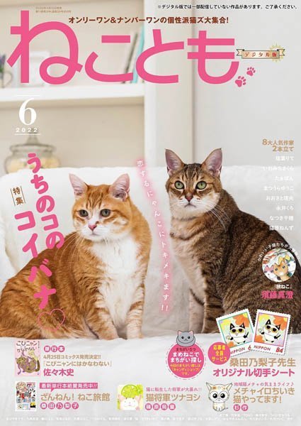 [日本版]ねことも Neko Tomo猫漫画杂志（隔月刊） – 06.2022电子杂志PDF下载