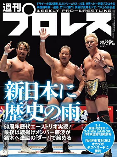 [日本版]周刊プロレス 2022年 03/23号 No.2170 PDF电子杂志下载