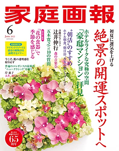 [日本版]家庭画报 2022年6月号 PDF电子杂志下载