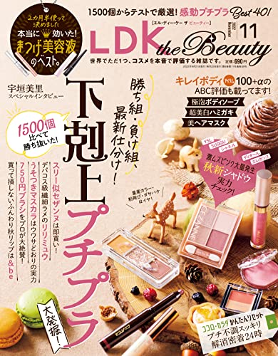 [日本版]LDK 生活用品情报 the Beauty (エル・ディー・ケー ザ ビューティー)2022年11月号 PDF电子杂志下载