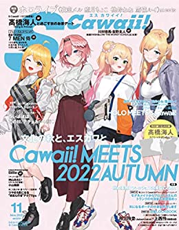 [日本版]S Cawaii! 2022年11月号増刊　特別版PDF电子杂志下载