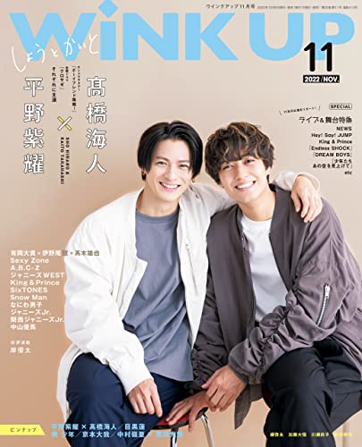 [日本版]WiNK UP (ウインクアップ) 2022年11月号 PDF电子杂志下载