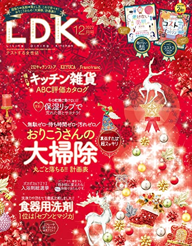 [日本版]LDK 生活用品情报  2022年12月号 PDF电子杂志下载