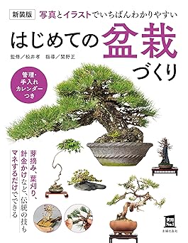 [日本版]Smook 新装版 はじめての盆栽づくり (実用Ｎｏ．１シリーズ) 电子杂志PDF下载