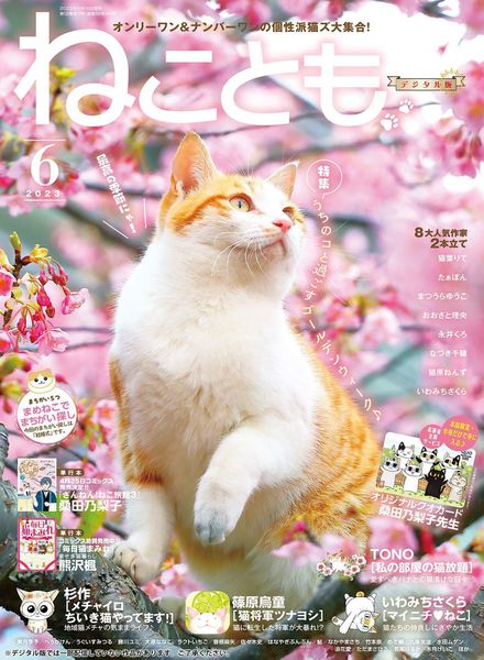 [日本版]Neko Tomo宠物 – 2023-04-01电子杂志PDF下载