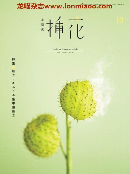 [日本版]小原流插花 花艺设计 PDF电子杂志 2021年10月刊