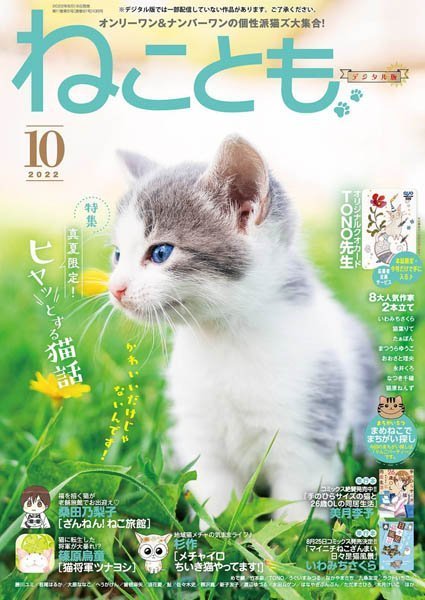 [日本版]ねことも Neko Tomo猫漫画杂志（隔月刊） – 10.2022电子杂志PDF下载